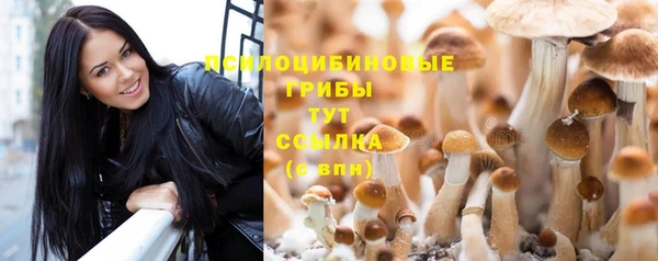 дживик Заволжье