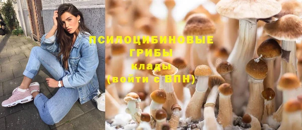 дживик Заволжье