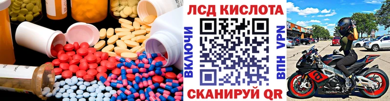 omg как войти  закладки  Кингисепп  ЛСД экстази кислота 