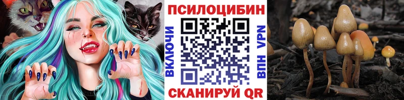 Псилоцибиновые грибы GOLDEN TEACHER наркота Кингисепп
